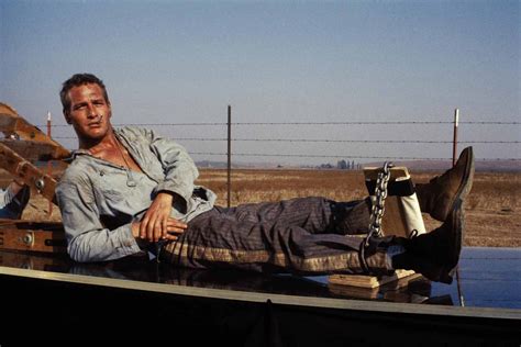 Cool Hand Luke (1967) [BluRay] [720p] [YTS] [YIFY].
